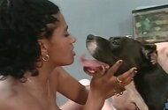 Blowjob bestiality sex