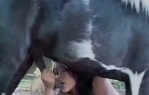This incredible whore is having sexual entertainment with an animal