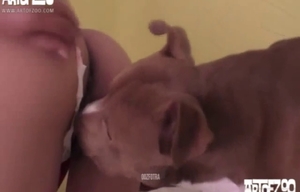 Good-looking wife hooker and a nice doggy