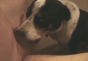 A horny animal is going to suck him right off