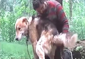 Ass fingering session with a submissive mutt