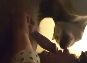 Husky cock is going to get sucked off big time