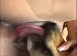 Brunette girl has a dog worshipping her hot hole