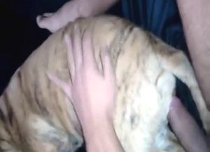 Dude is going to use that penis to fuck a dog