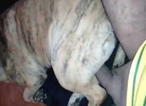 Dude is going to use that penis to fuck a dog