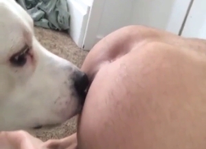 Good girl licking that tasty zoophile asshole