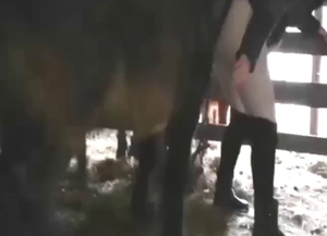 Pony is going to fuck a lady who moans loudly