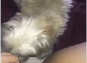 Pregnant lady shows what she can do with a dog