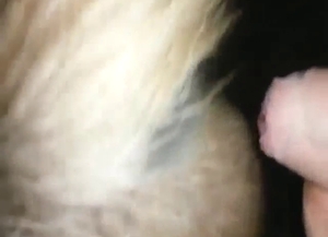 Horse's booty gets covered in fresh urine for fun